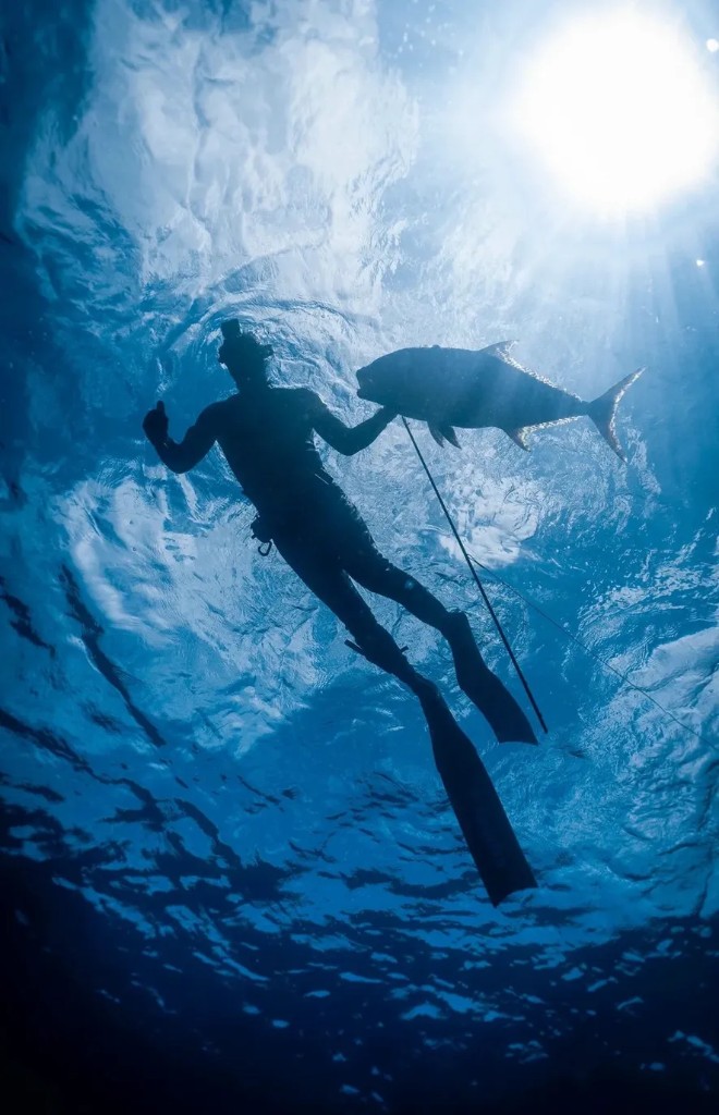 Spearfisher silhouette with giant trevally underwater.